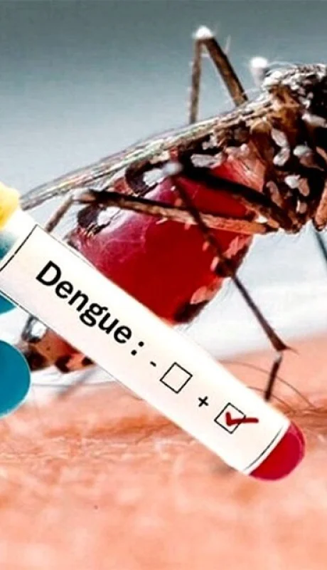 Combatir la epidemia