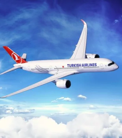 Turkish Airliness sufrió un accidente a bordo