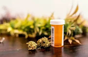 Inkillay invertirá $1.000 millones en la producción de cáñamo y cannabis medicinal