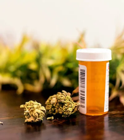 Cannabis medicinal en Mendoza.