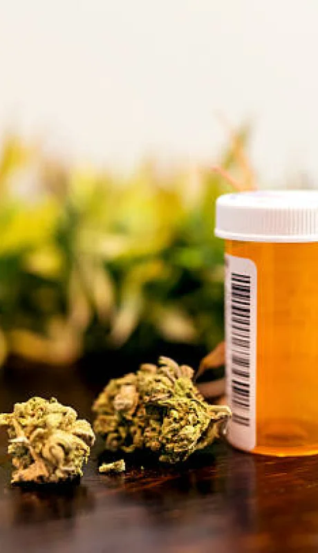 Cannabis medicinal en Mendoza.