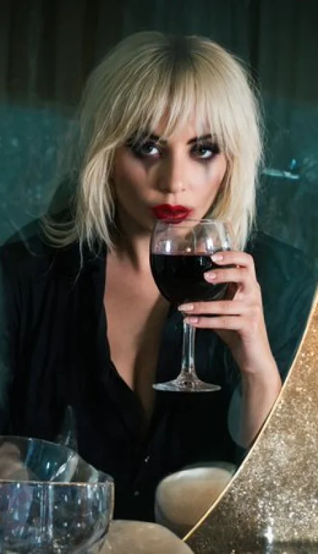 Lady Gaga se pronunció fan de un vino argentino.