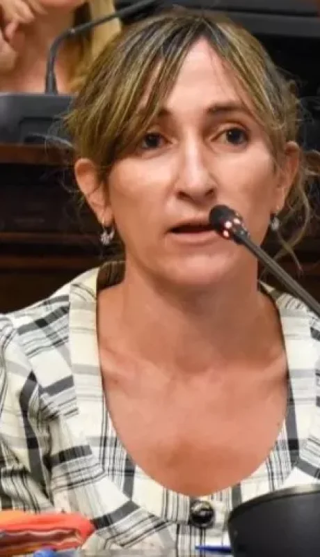 Diputada Mercedes Llano