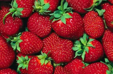 Frutillas: la receta mágica para hacer un yogur casero, fácil y delicioso