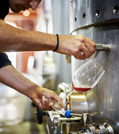 Producción de vinos a granel
