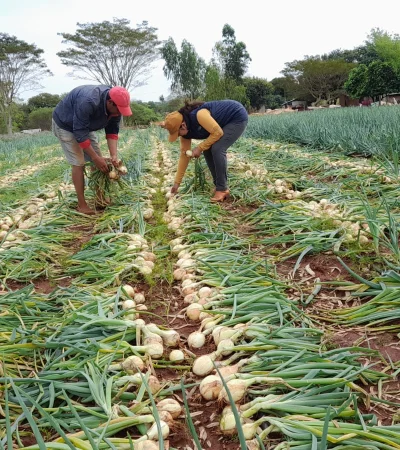 Dura tarea de producir y cosechar