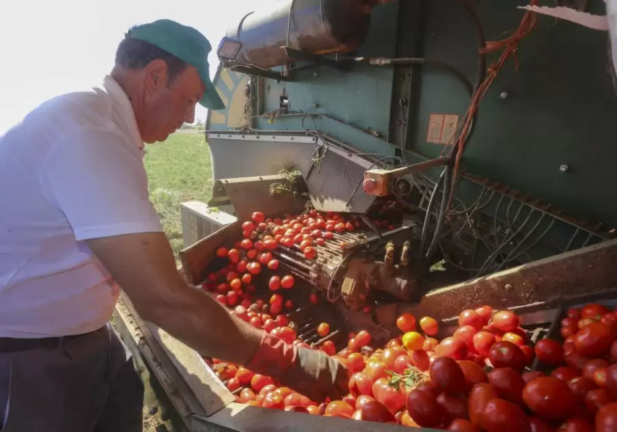 Selección de los mejores productos