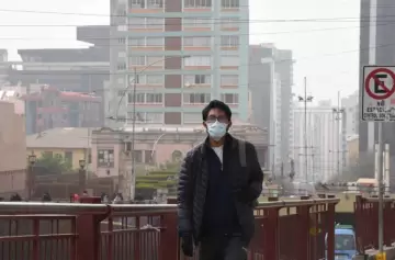 Incendios forestales: Bolivia enfrenta su peor desastre ambiental