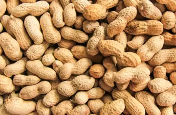 Los secretos del maní: proteínas, antioxidantes y salud del corazón