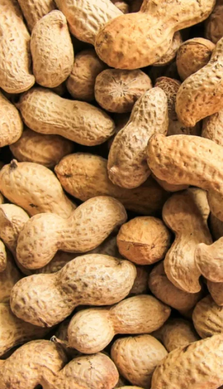 Un alimento que encierra muchos secretos