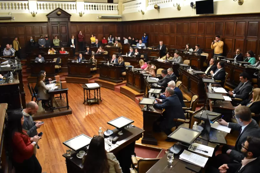 El proyecto ingresa por la Cámara de Diputados