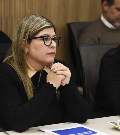 Veronica Razzini habló de los próximos proyectos de la Cámara de Diputados.