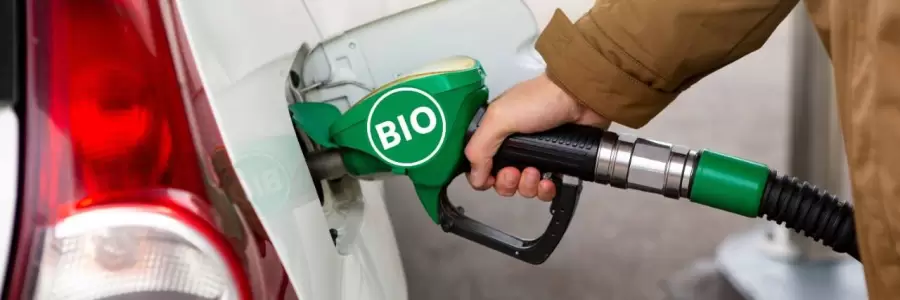 biodiesel