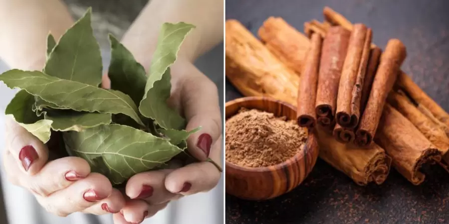 En tiempos remotos, sacerdotes y pitonisas utilizaban hojas de laurel en ceremonias adivinatorias.
