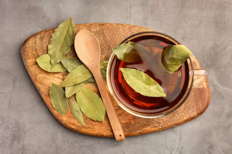 El laurel tiene propiedades curativas, tanto en lo físico como en lo emocional