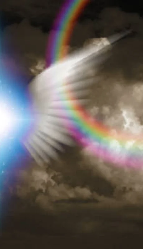 Ángeles y protectores