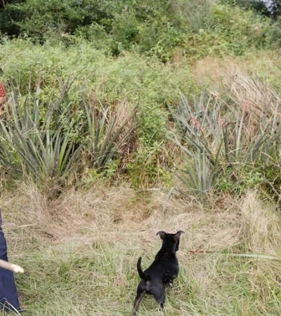 Catalina, la abuela de Loan