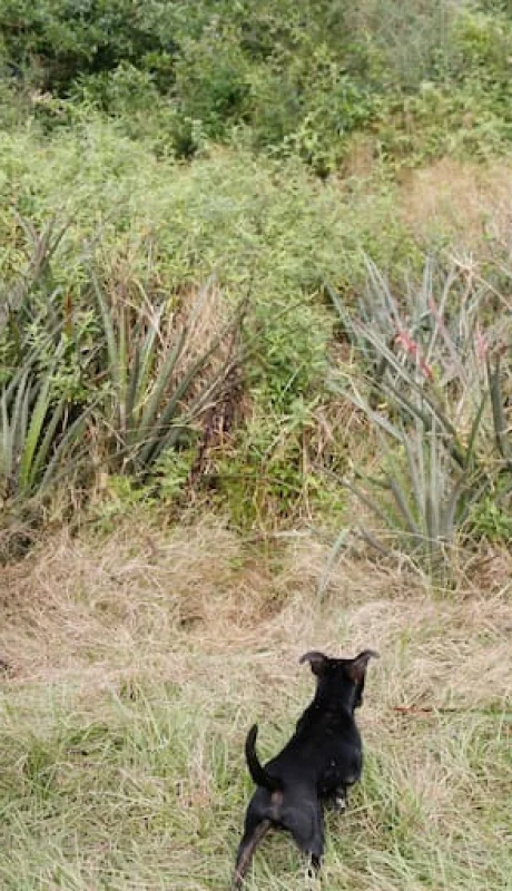 Catalina, la abuela de Loan