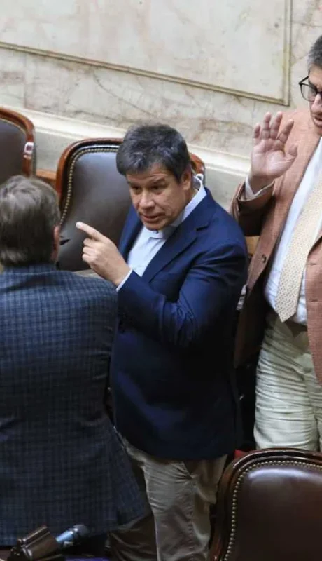 Facundo Manes en el recinto