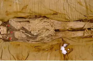 Hallan el queso más antiguo del mundo en momias de más de 3.500 años en China