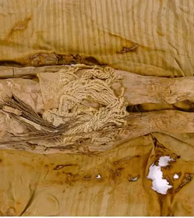 El queso más antiguo de todos