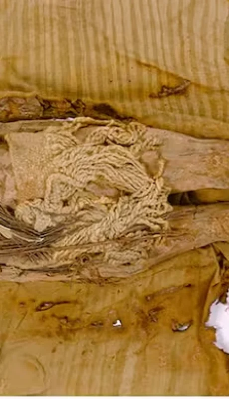 El queso más antiguo de todos