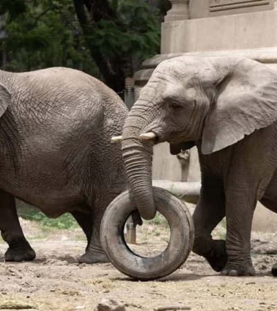 Kuky junto a su hermana Pupy.