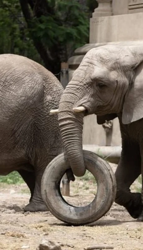 Kuky junto a su hermana Pupy.