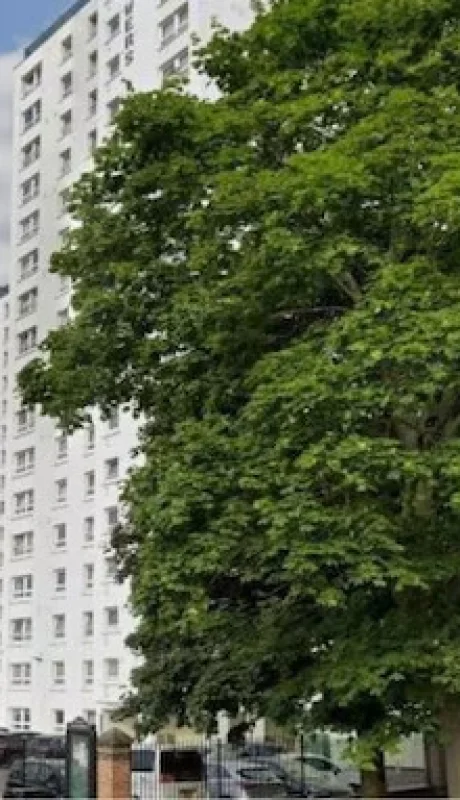 Una mujer embarazada murió al caer desde un piso 17, pero su bebé sobrevivió