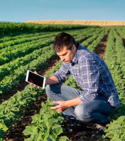 "El semáforo es información de fácil lectura y permite hacer comparaciones con respecto a las variaciones de precios" (Paulina Lescano)