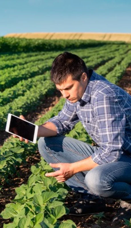 "El semáforo es información de fácil lectura y permite hacer comparaciones con respecto a las variaciones de precios" (Paulina Lescano)