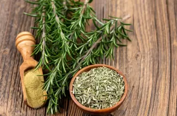 Romero en la cocina argentina: usos y cuidados esenciales