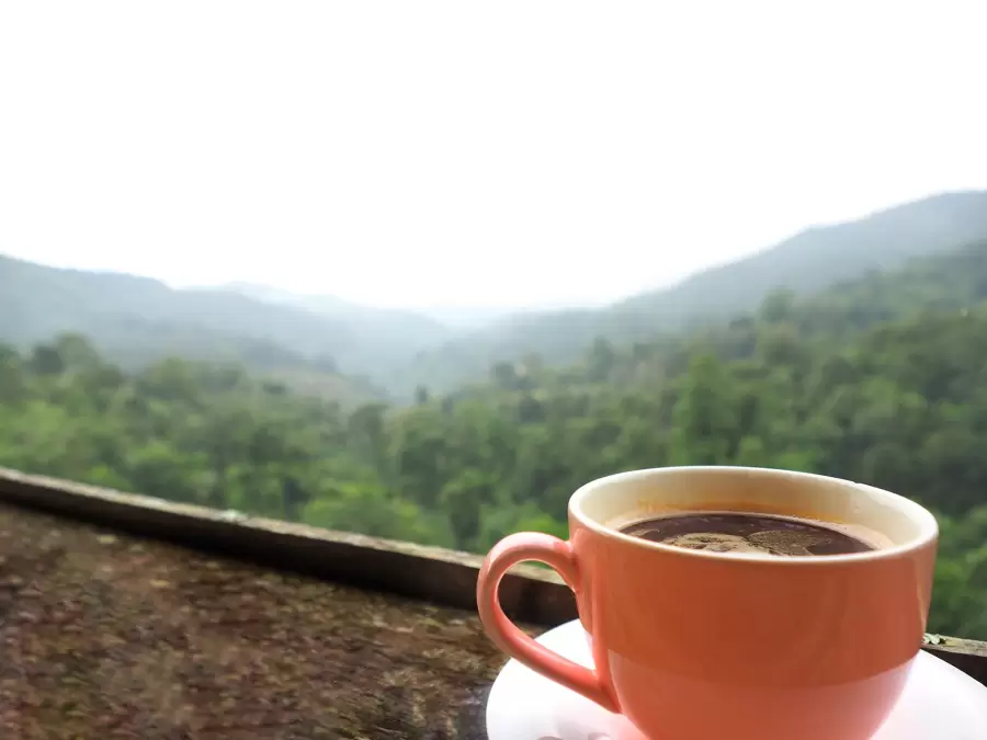 El café evita que las sustancias benéficas del organismo pierdan su capacidad positiva.