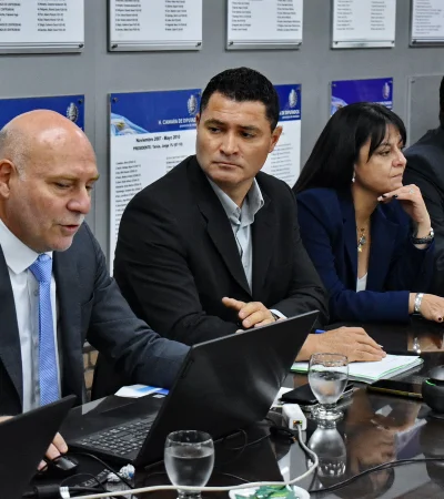 Dalmiro Garay en Diputados