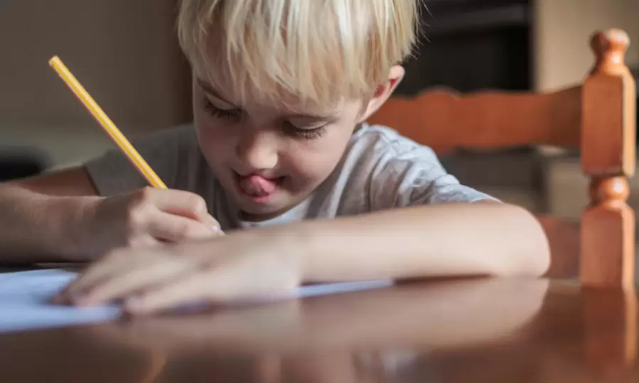 Todas las hipótesis bocetadas no han logrado ponerse de acuerdo.