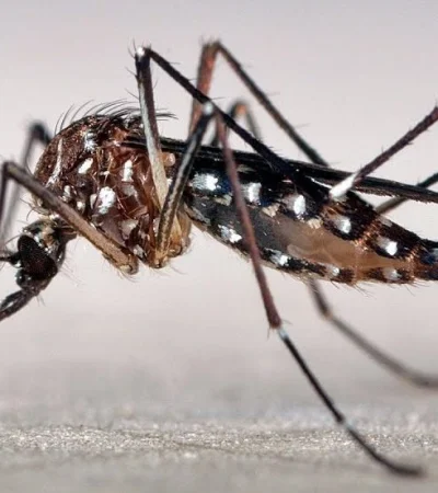 Uno de los infectados fue atendido en una clínica privada y el otro en el Hospital Notti./