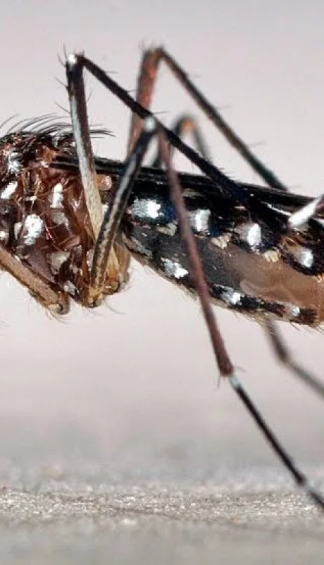 Uno de los infectados fue atendido en una clínica privada y el otro en el Hospital Notti./