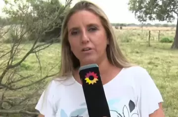 Caso Loan: declaró Paula Bernini y dio su visión sobre el entramado familiar