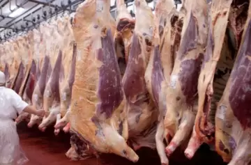 Boom de carne importada: por qué Argentina compra afuera lo que siempre produjo