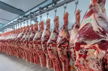 Primer cargamento de carne argentina para El Salvador