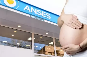 Capital Humano detectó 203 casos de embarazos falsos para cobrar asignaciones