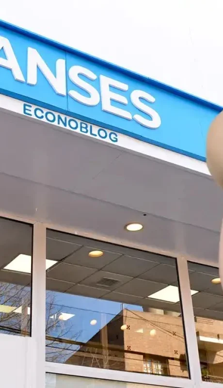 Capital Humano detectó 203 casos de embarazos falsos para cobrar asignaciones