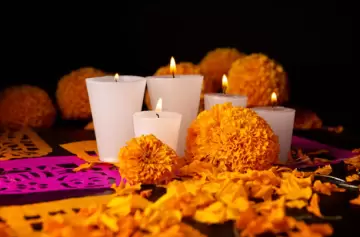 Flor de cempasúchil: el símbolo de amor eterno en el Día de Muertos