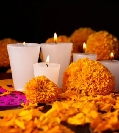 Cempasúchil una flor con una gran leyenda.