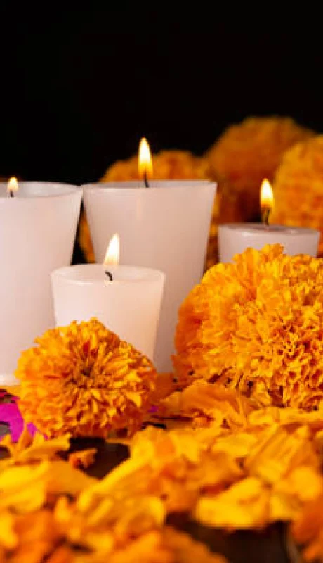 Cempasúchil una flor con una gran leyenda.