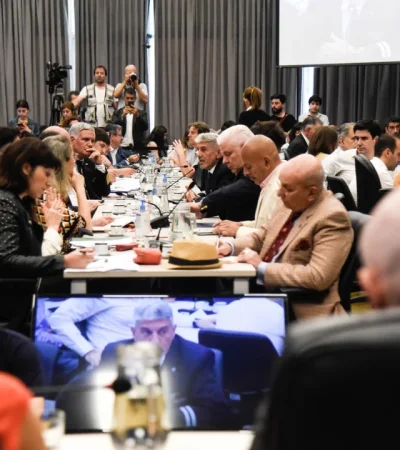 Tratamienteo de la privatización en comisiones   /