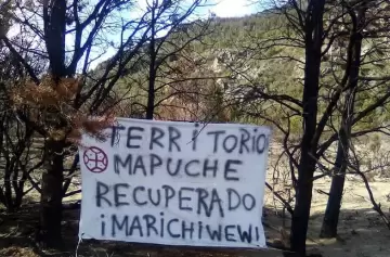 Conflicto en la Patagonia: la Justicia condena a mapuches por usurpación de tierras
