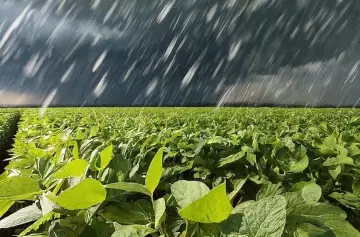 La Niña se va sin pena ni gloria y abrirían paso tres meses de lluvias