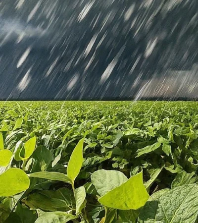 La Niña se va sin pena ni gloria y abrirían paso tres meses de lluvias