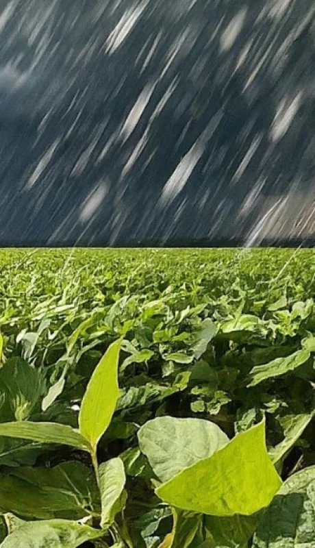 La Niña se va sin pena ni gloria y abrirían paso tres meses de lluvias